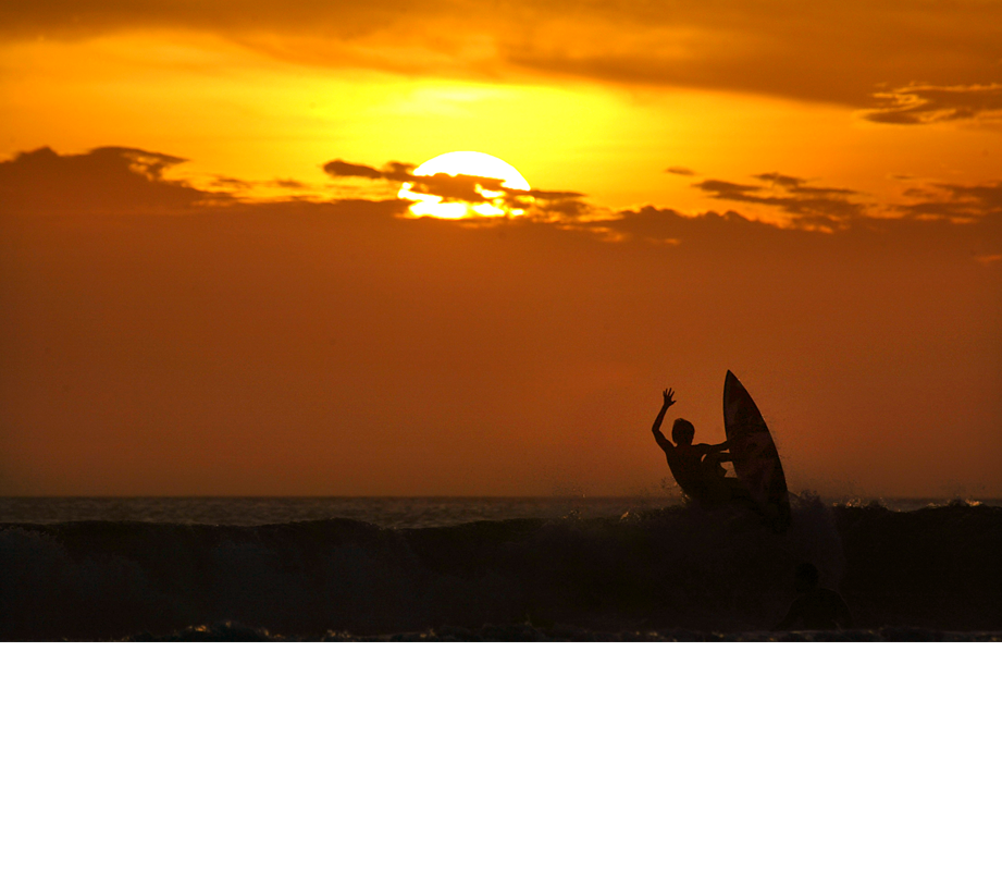WMT PHOTOGRAPHY
