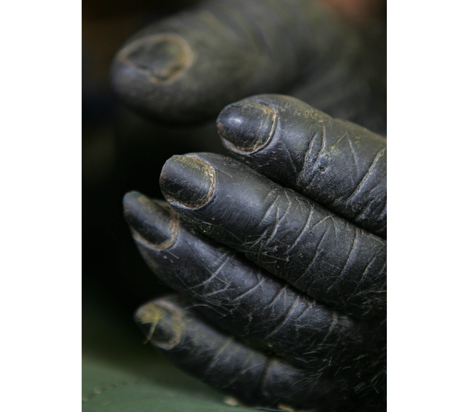 WMT PHOTOGRAPHY