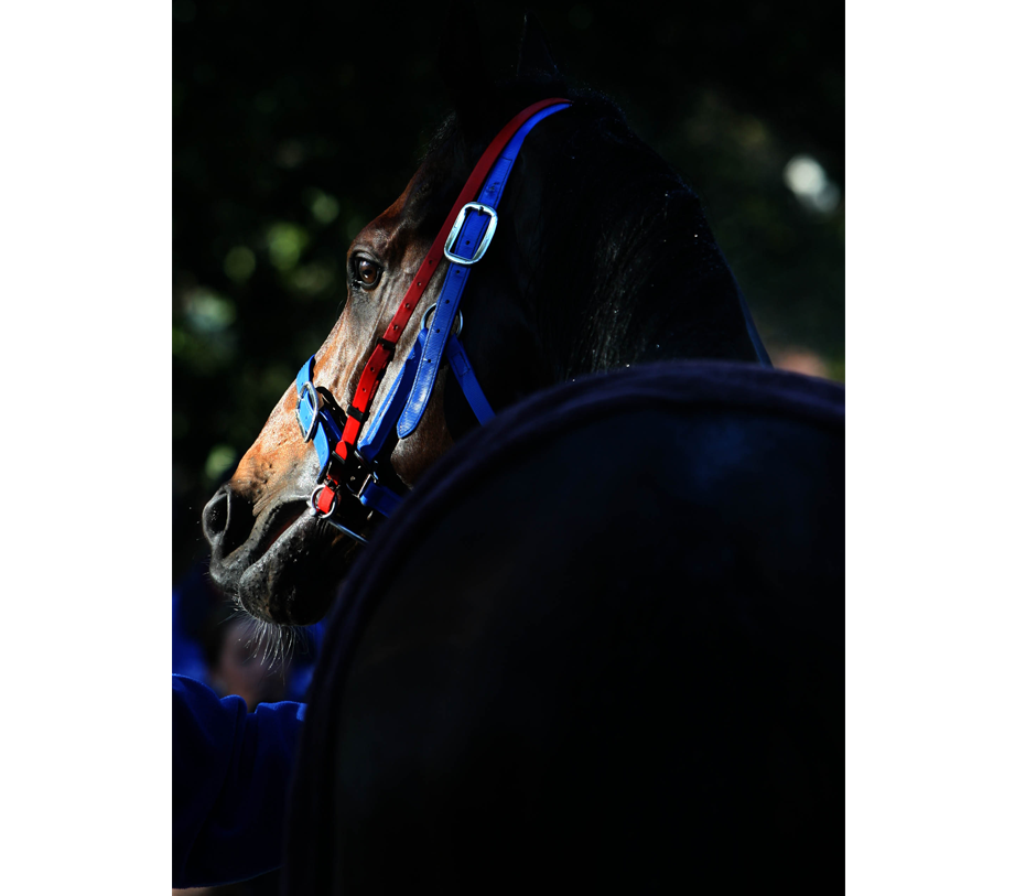 WMT PHOTOGRAPHY