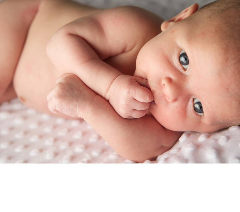 WMT PHOTOGRAPHY
