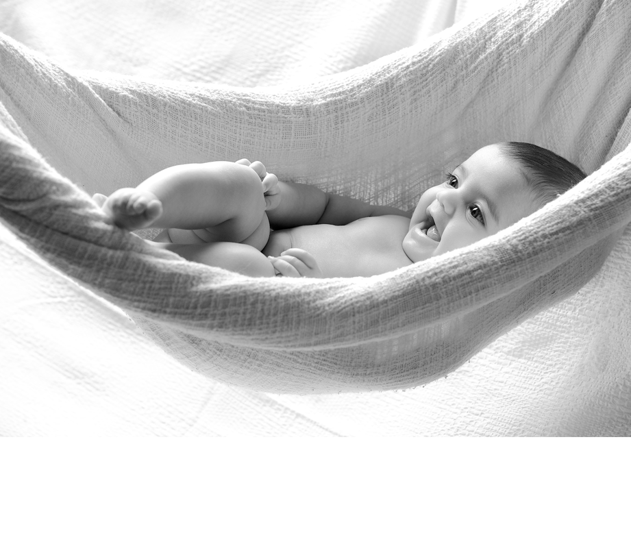 WMT PHOTOGRAPHY