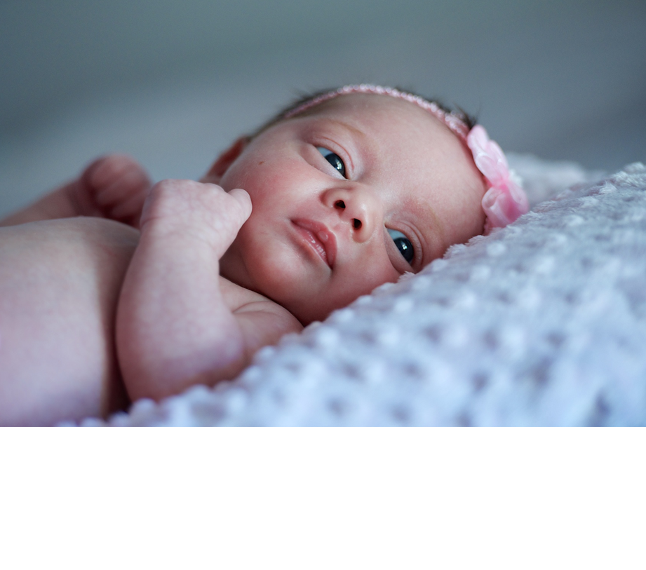 WMT PHOTOGRAPHY