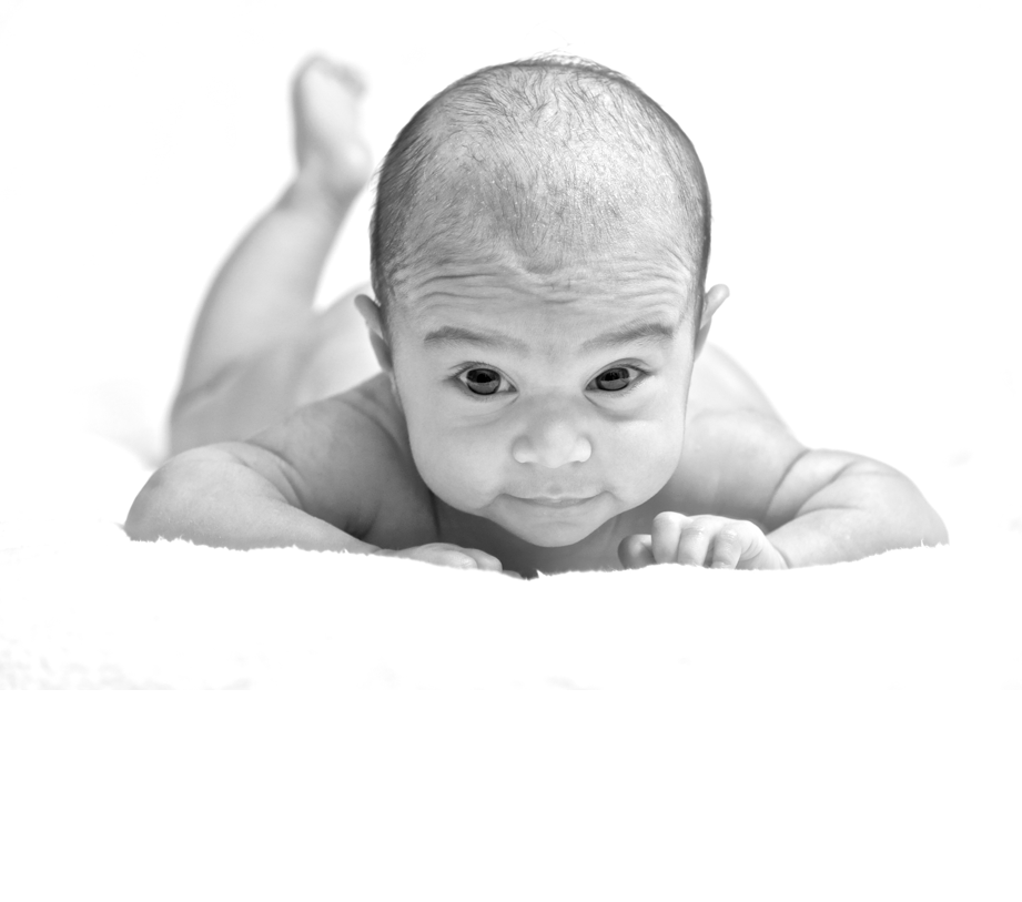 WMT PHOTOGRAPHY