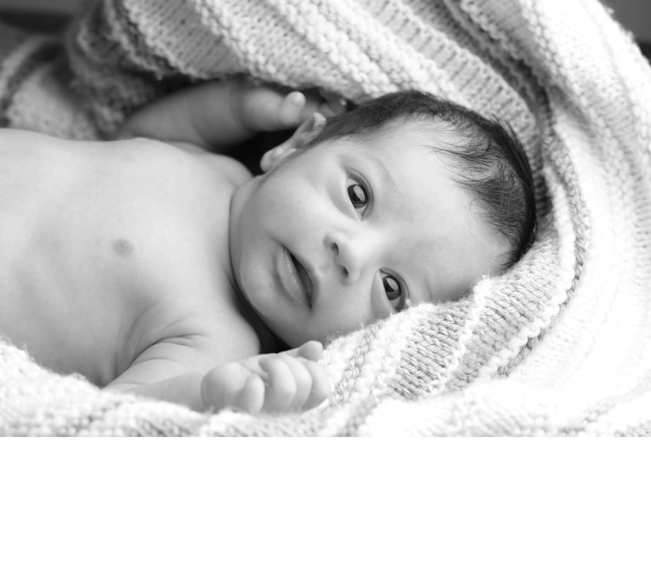 WMT PHOTOGRAPHY