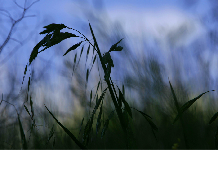 WMT PHOTOGRAPHY