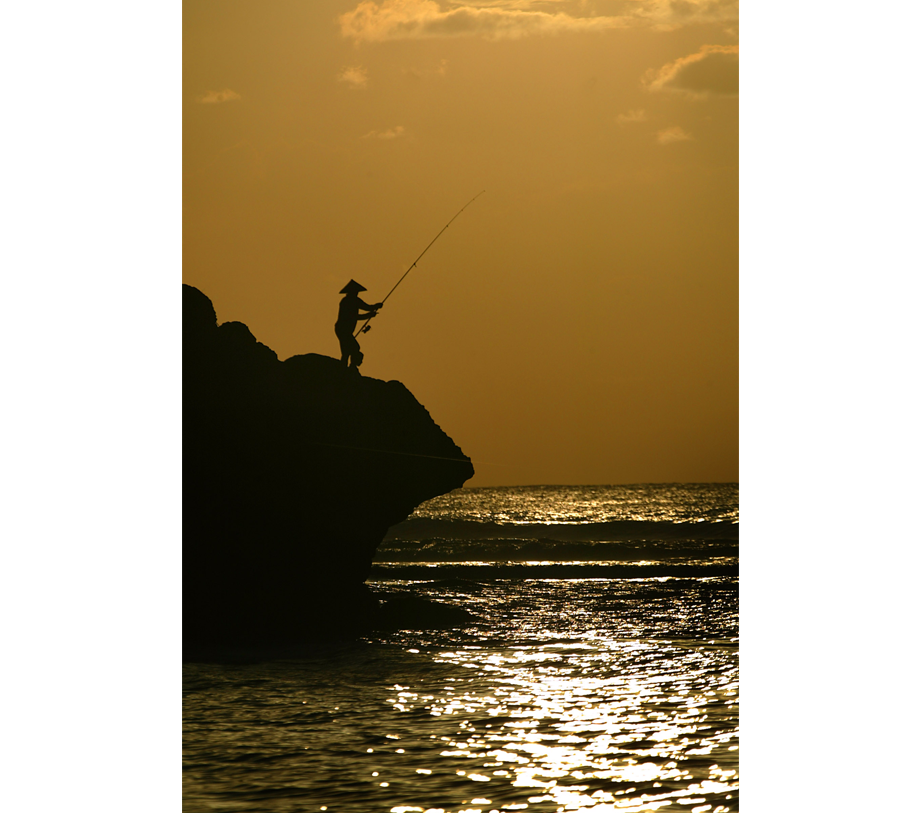 WMT PHOTOGRAPHY